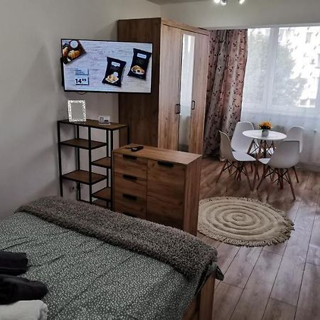 Ana Studio Appartement Târgu-Mureş Buitenkant foto