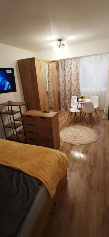 Ana Studio Appartement Târgu-Mureş Buitenkant foto