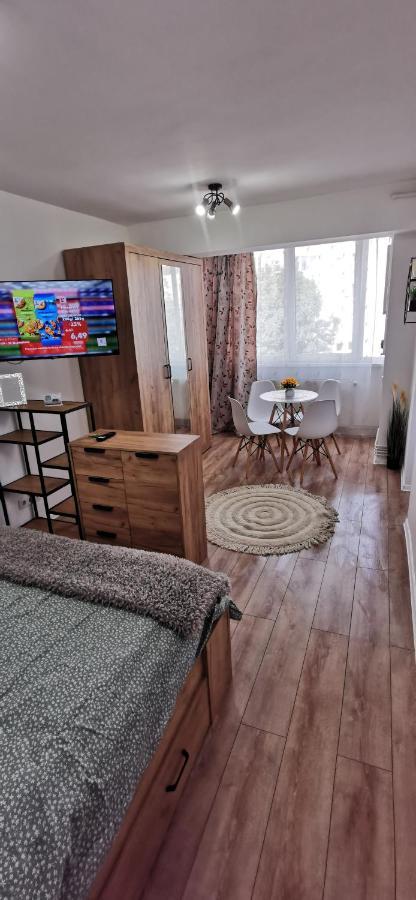 Ana Studio Appartement Târgu-Mureş Buitenkant foto