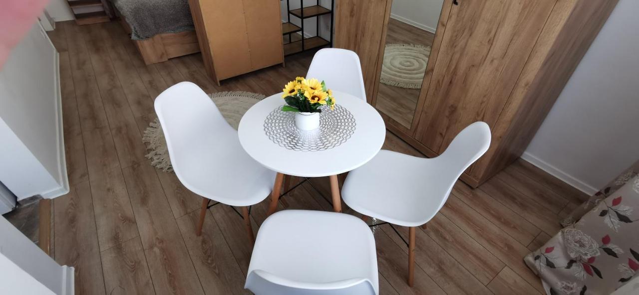 Ana Studio Appartement Târgu-Mureş Buitenkant foto